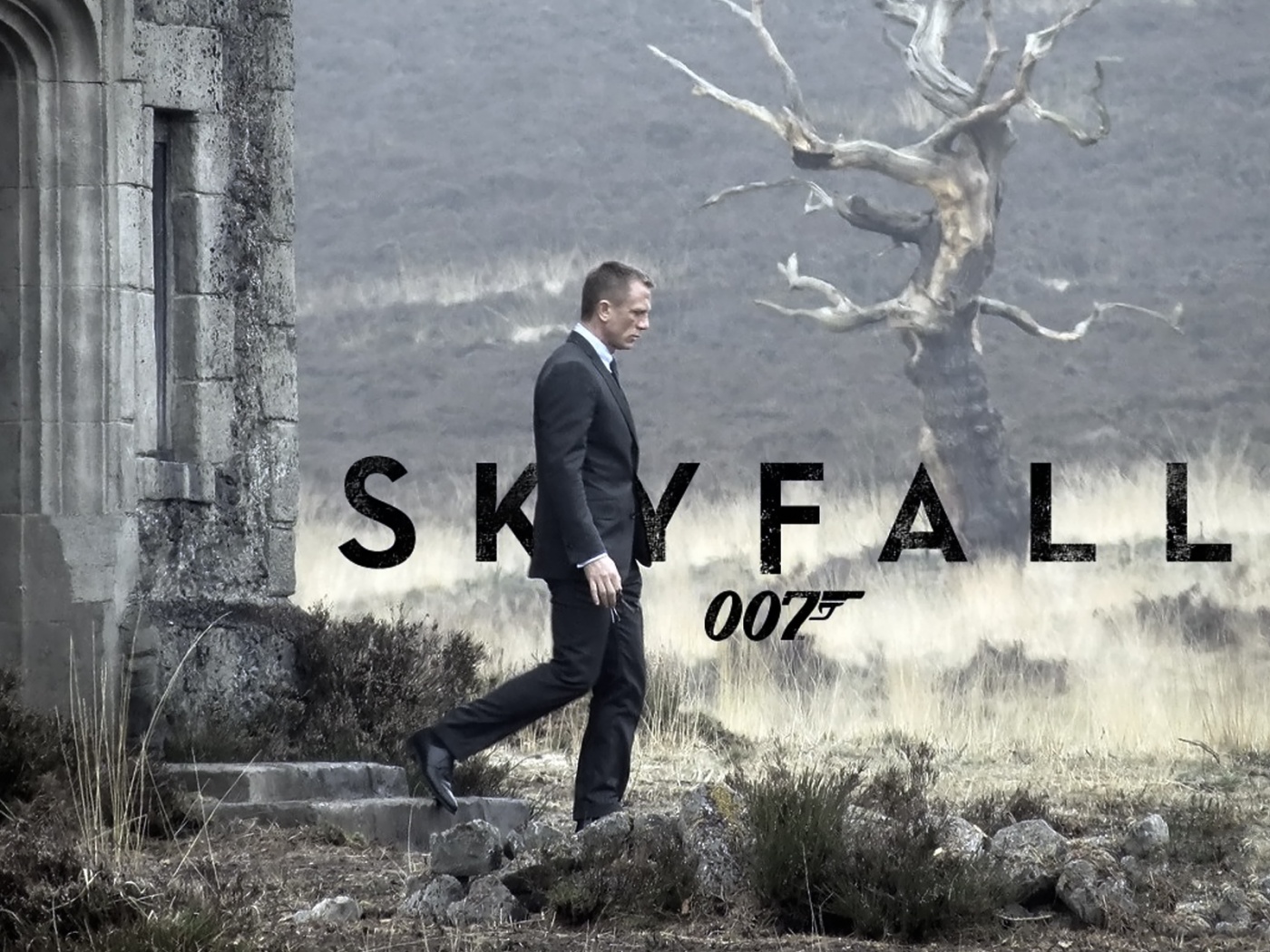 james bond 007 fond d'écran,police de caractère,texte,couverture de l'album,arbre,la photographie