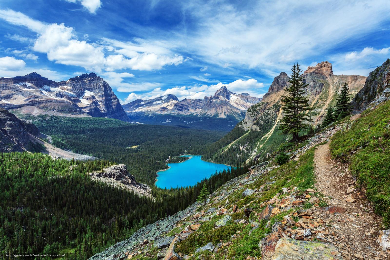 fondo de pantalla de columbia británica,montaña,paisaje natural,naturaleza,cordillera,valle