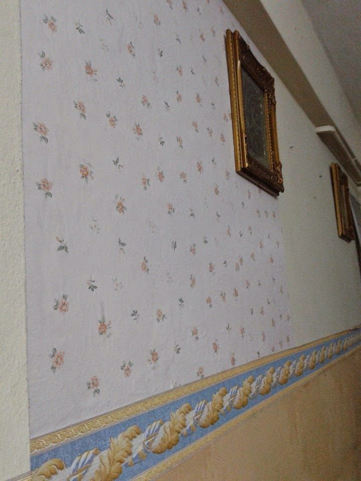 wallpaper mr diy,wall,property,plaster,room,ceiling
