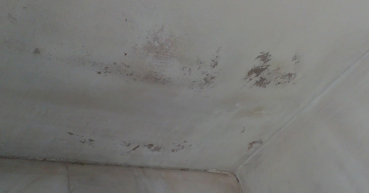 wallpaper mr diy,plaster,ceiling,mold,stain