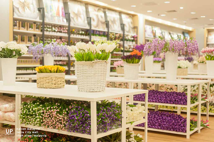 kaison malaysia wallpaper,flower,flowerpot,product,plant,lavender