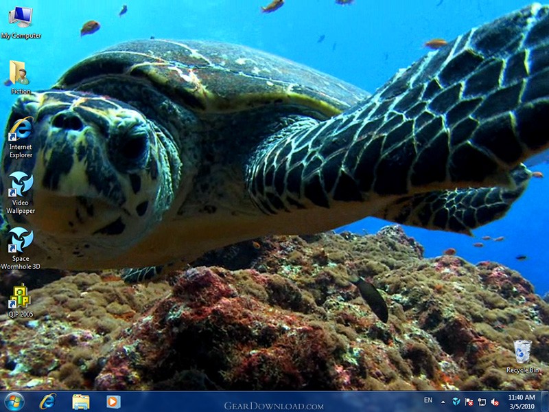 download wallpaper unik,sea turtle,hawksbill sea turtle,green sea turtle,turtle,kemp's ridley sea turtle