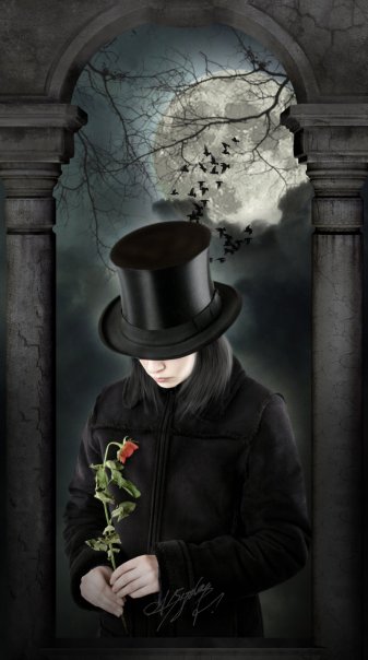 gothic iphone wallpaper,plant,fictional character,still life photography
