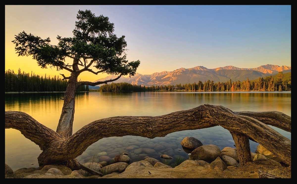 gambar unik untuk fondo de pantalla,naturaleza,paisaje natural,cielo,agua,árbol