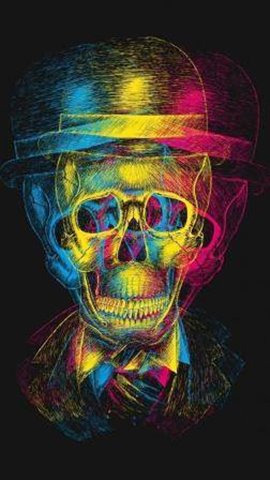 download wallpaper lucu,skull,bone,illustration,art,glasses