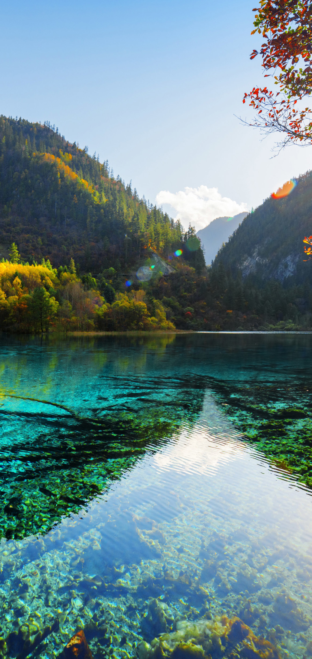 mi max壁紙,自然の風景,水域,自然,水資源,湖