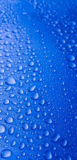 oppo f1 hd wallpapers,blue,water,drop,dew,moisture
