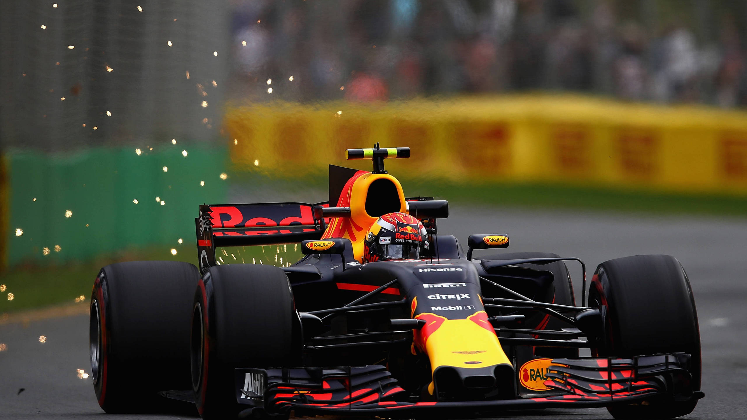 fond d'écran max verstappen,véhicule terrestre,formule un,voiture de formule 1,véhicule,voiture de course