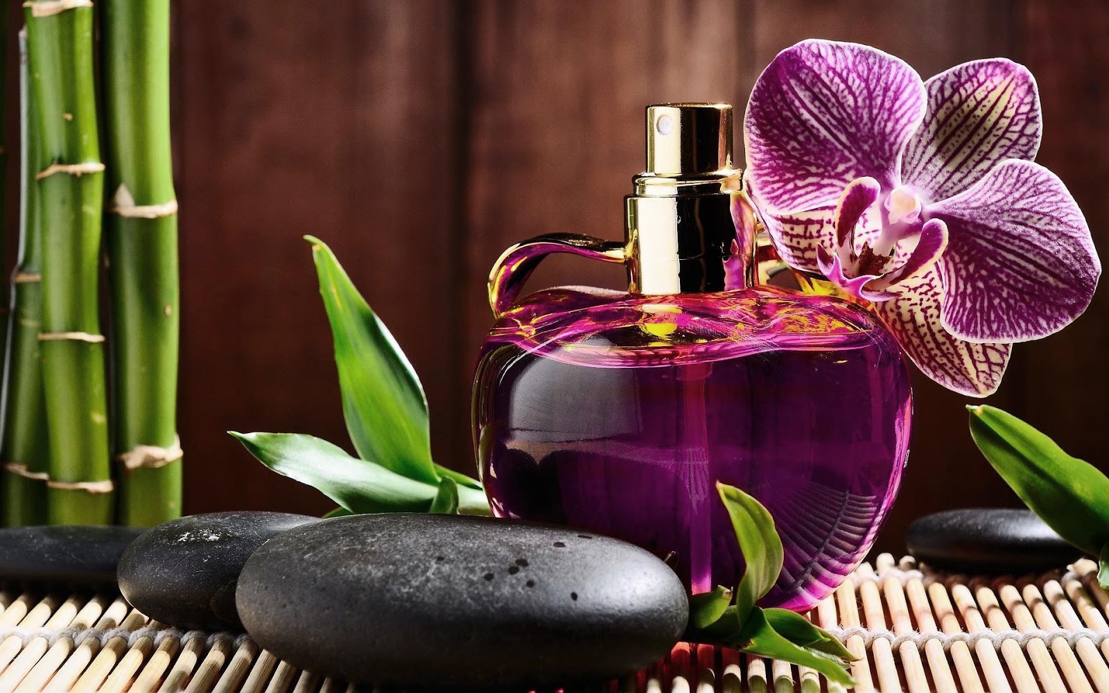 bikin wallpaper sendiri,violet,perfume,purple,flower,plant (#639564