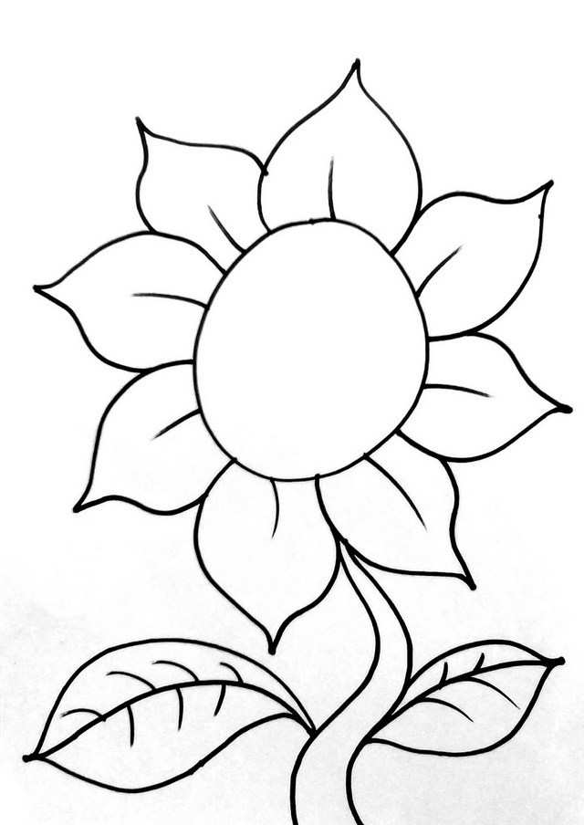 wallpaper evercoss,white,flower,petal,leaf,black and white