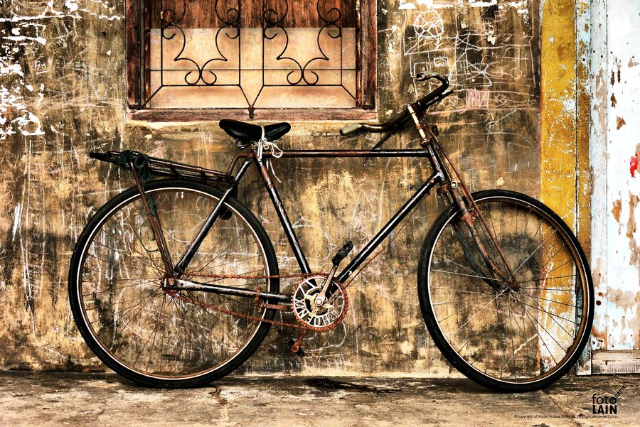벽지 잼 aktif,자전거,자전거 바퀴,자전거 액세서리,차량,자전거 프레임