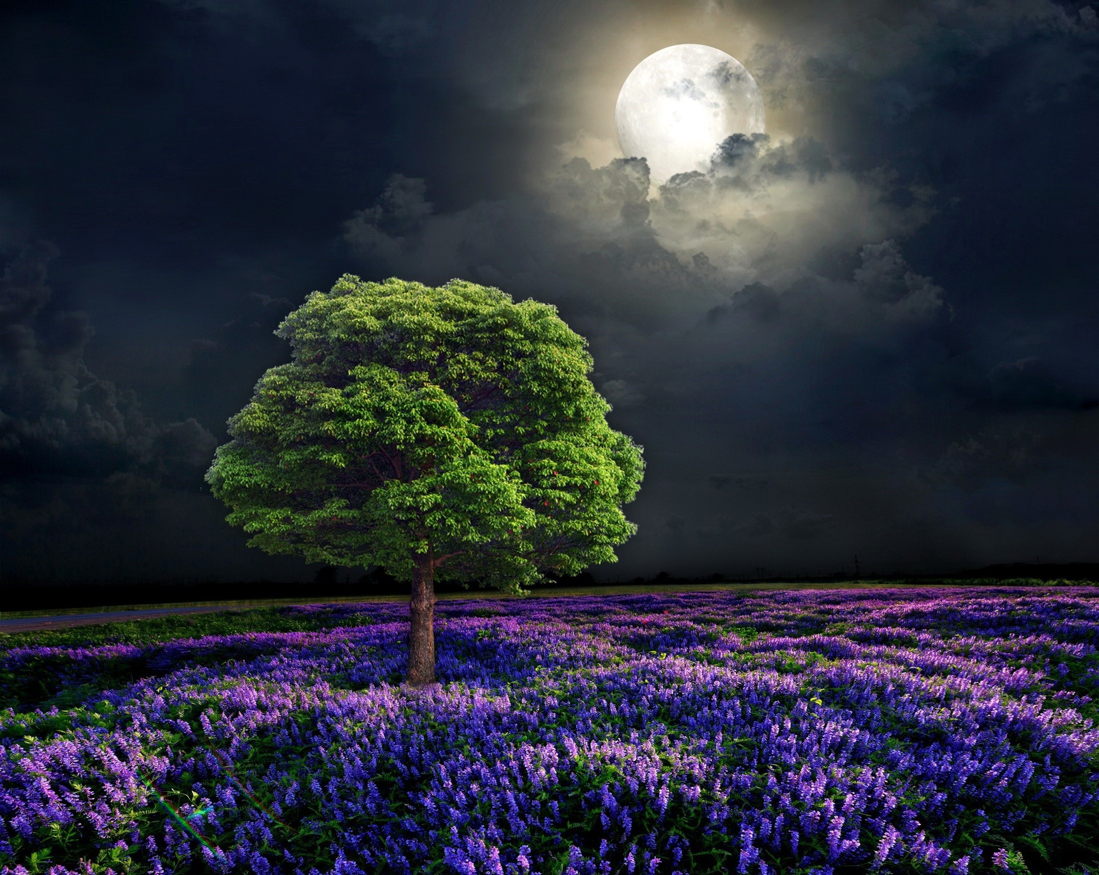 nuit nature fond d'écran hd,paysage naturel,la nature,ciel,lavande,violet