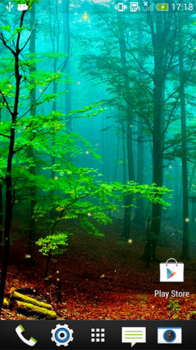 fond d'écran latar,la nature,vert,paysage naturel,forêt,forêt ancienne