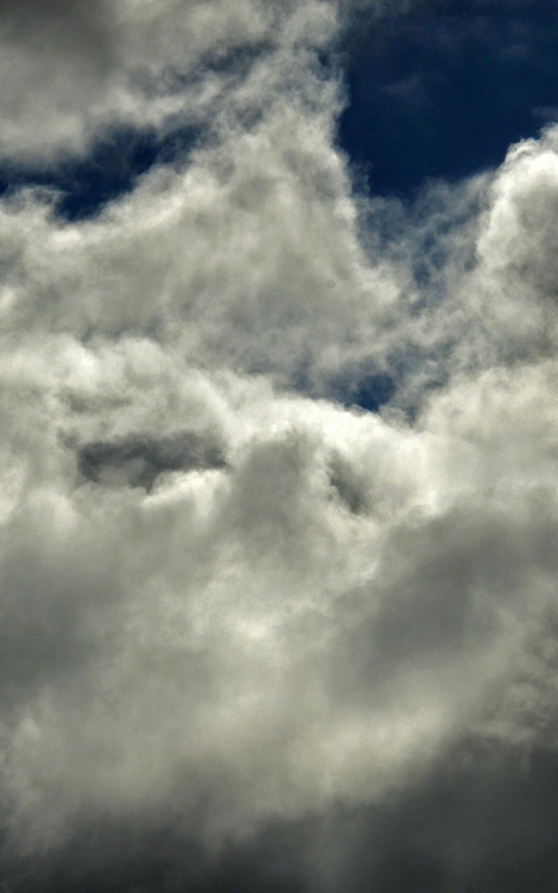 ラター壁紙,空,雲,昼間,積雲,雰囲気