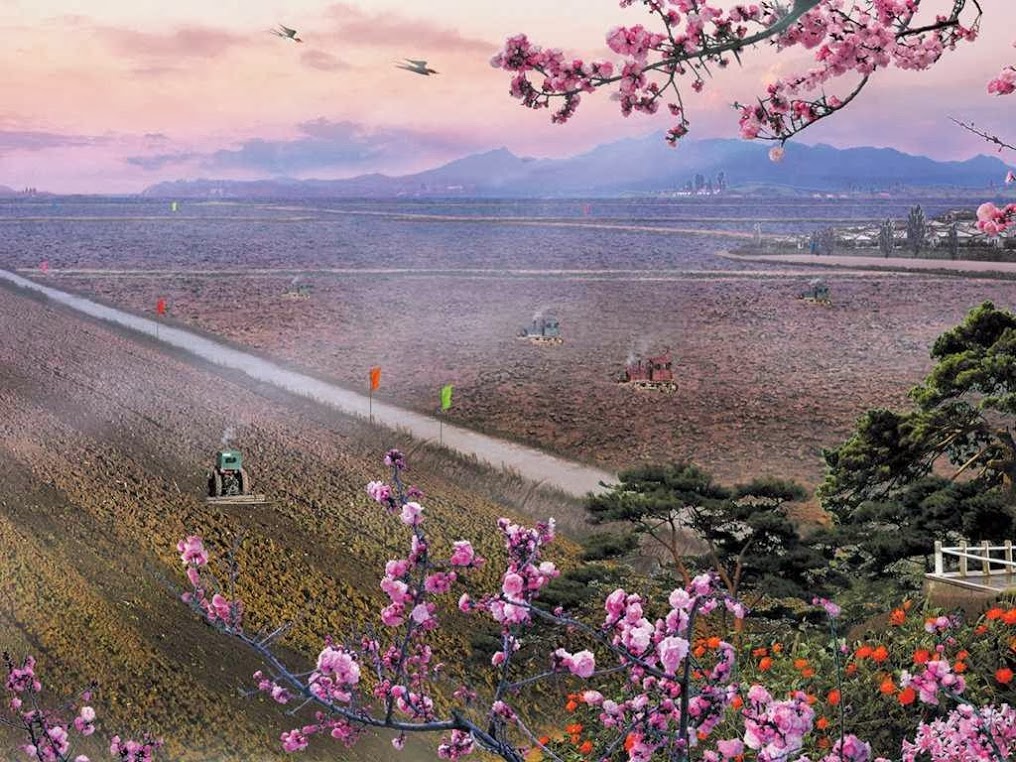 fond d'écran coréen,paysage naturel,fleur,printemps,plante,fleurs sauvages