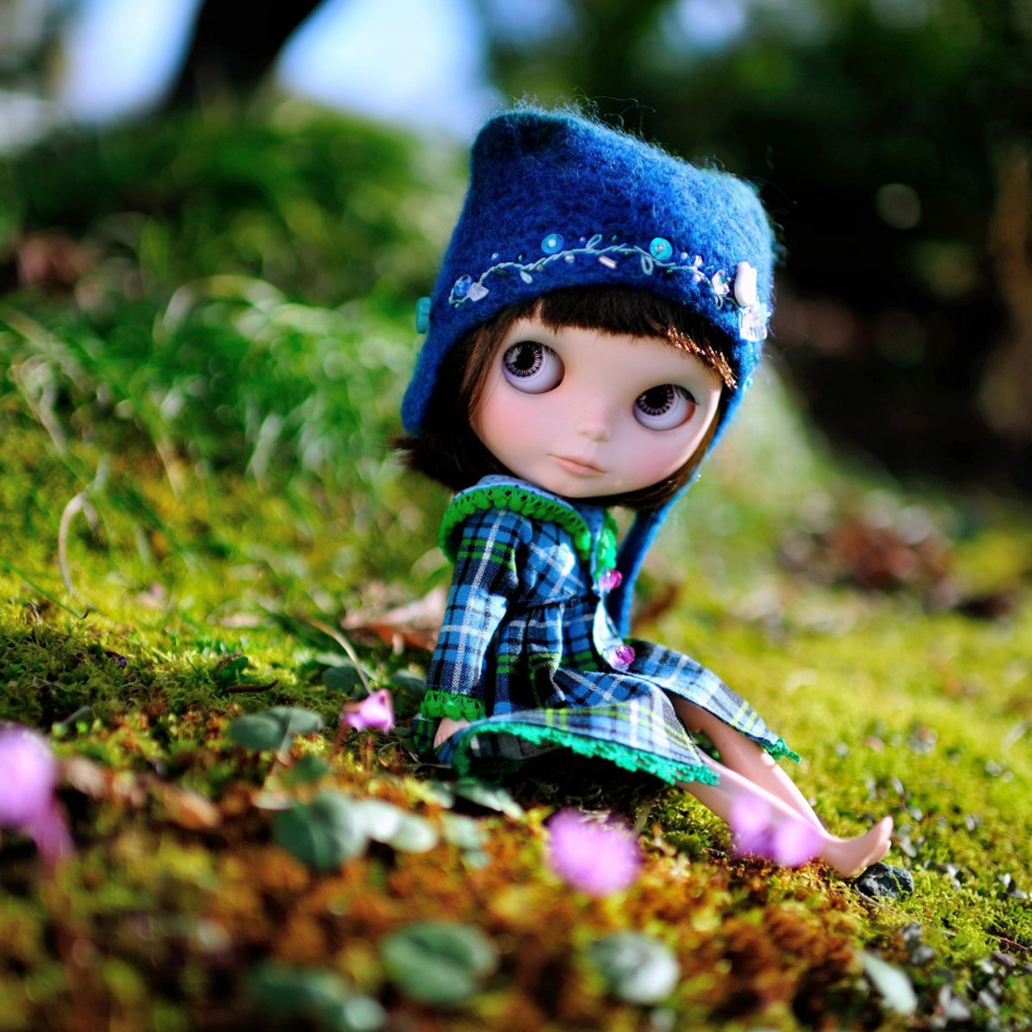 3d baby wallpaper,doll,toy,grass,leaf,headgear