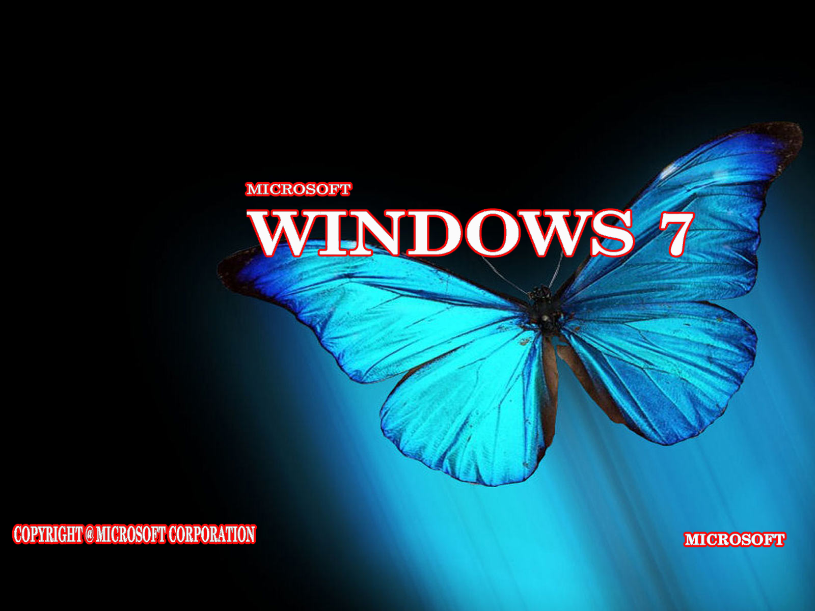 tampilan wallpaper,butterfly,insect,moths and butterflies,text,azure