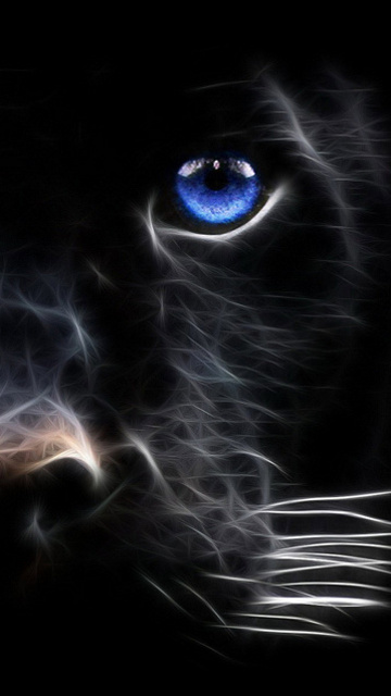 photo wallpaper keren,darkness,whiskers,felidae,cat,eye