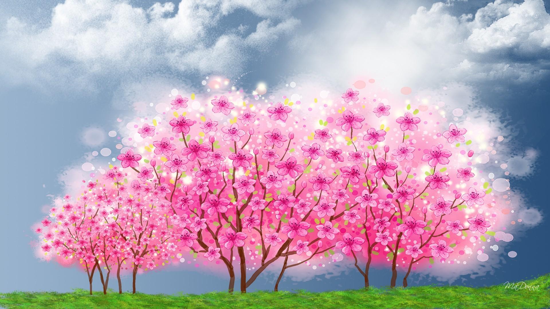 벽지 musim 세미,하늘,분홍,나무,자연,꽃