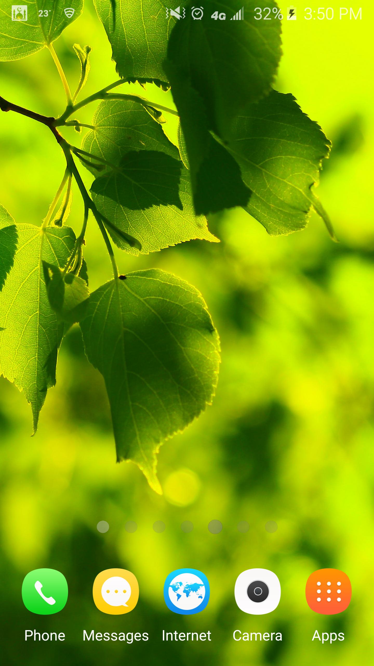 carta da parati musim semi,verde,foglia,natura,pianta,albero