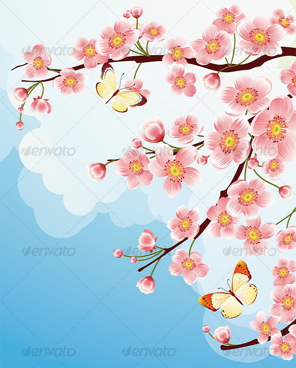 wallpaper bunga sakura bergerak,flower,blossom,branch,cherry blossom,plant