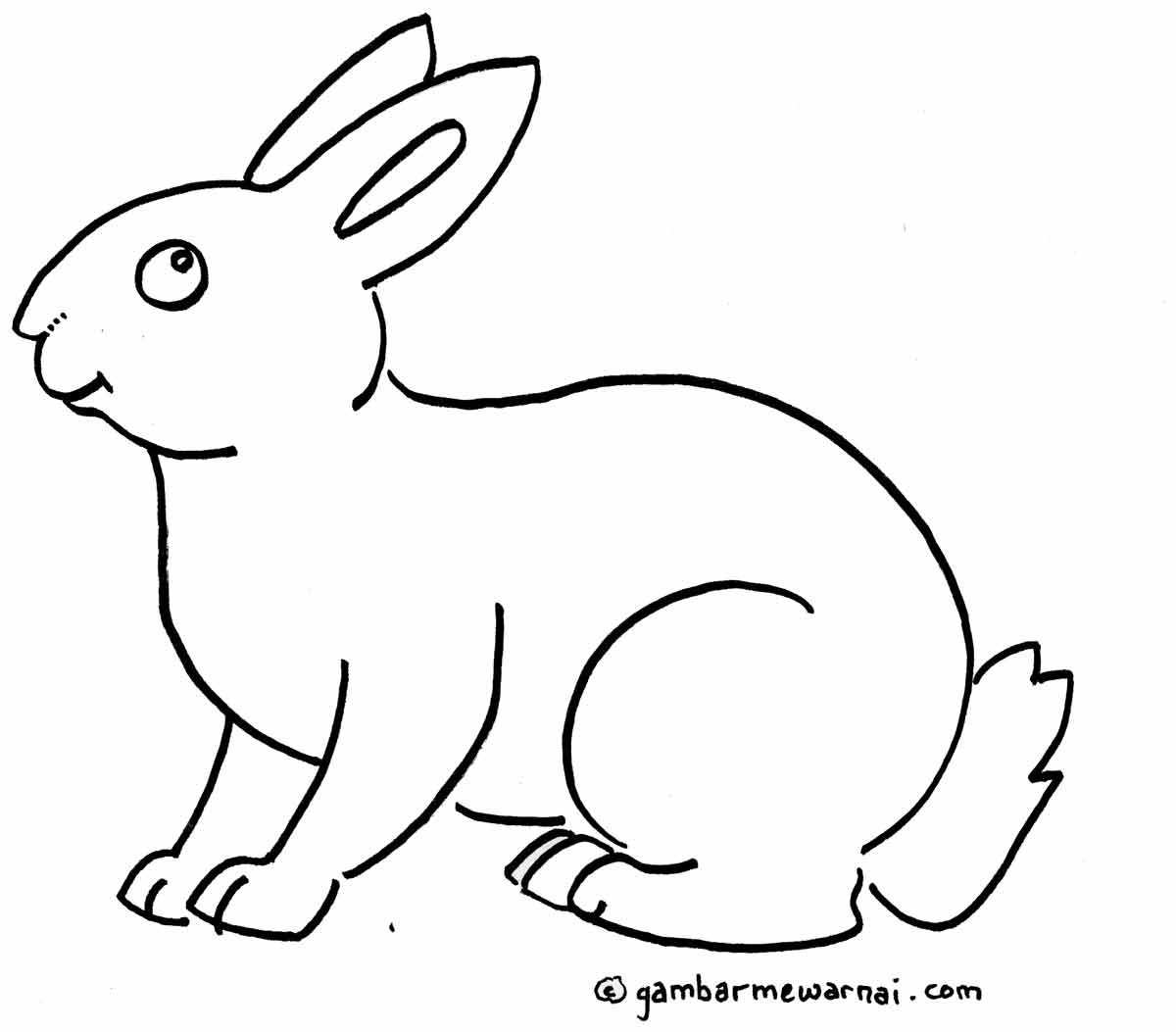 wallpaper bunga pohon dan buah,mammal,rabbit,vertebrate,line art,white