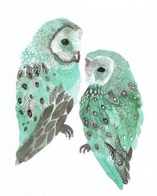 wallpaper bunga pohon dan buah,owl,bird,barn owl,snowy owl,turquoise