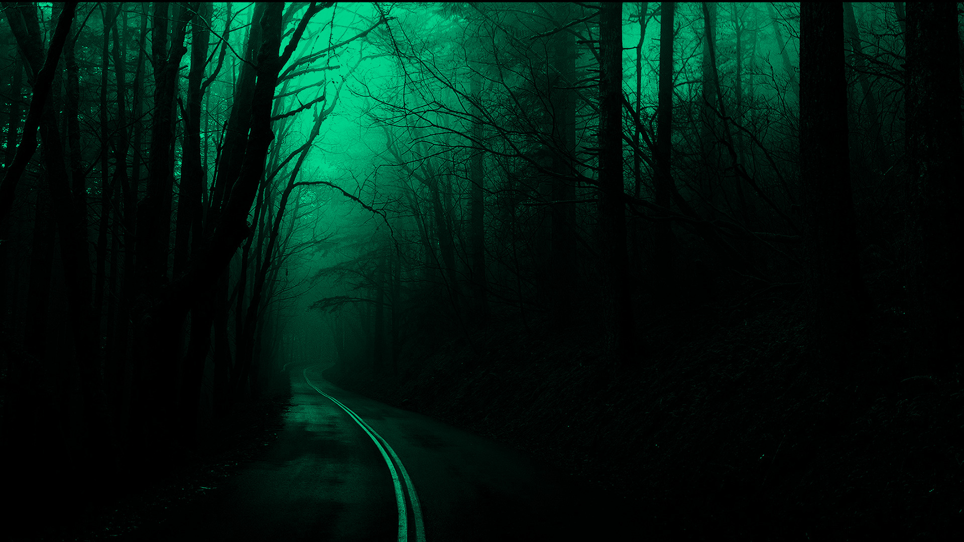 fond d'écran sombre hd,vert,la nature,bleu,forêt,arbre