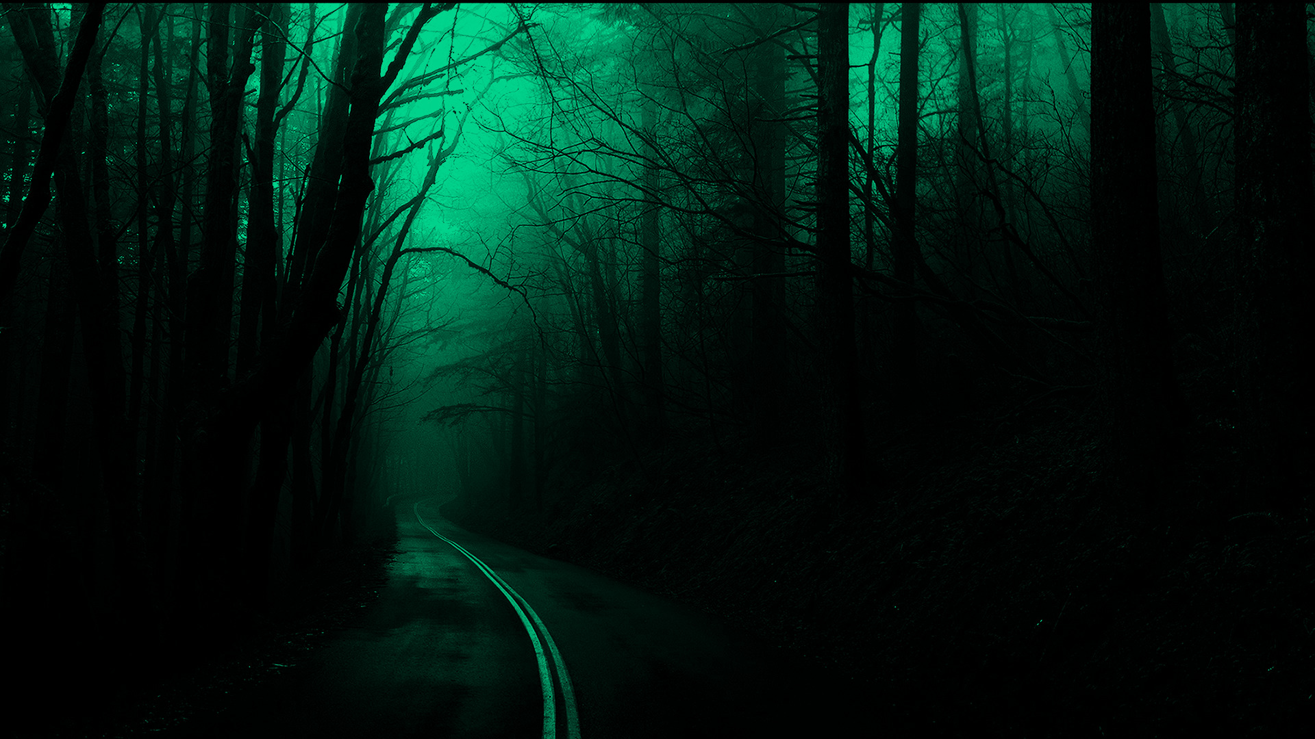 dark desktop wallpaper hd,green,nature,blue,natural environment,forest