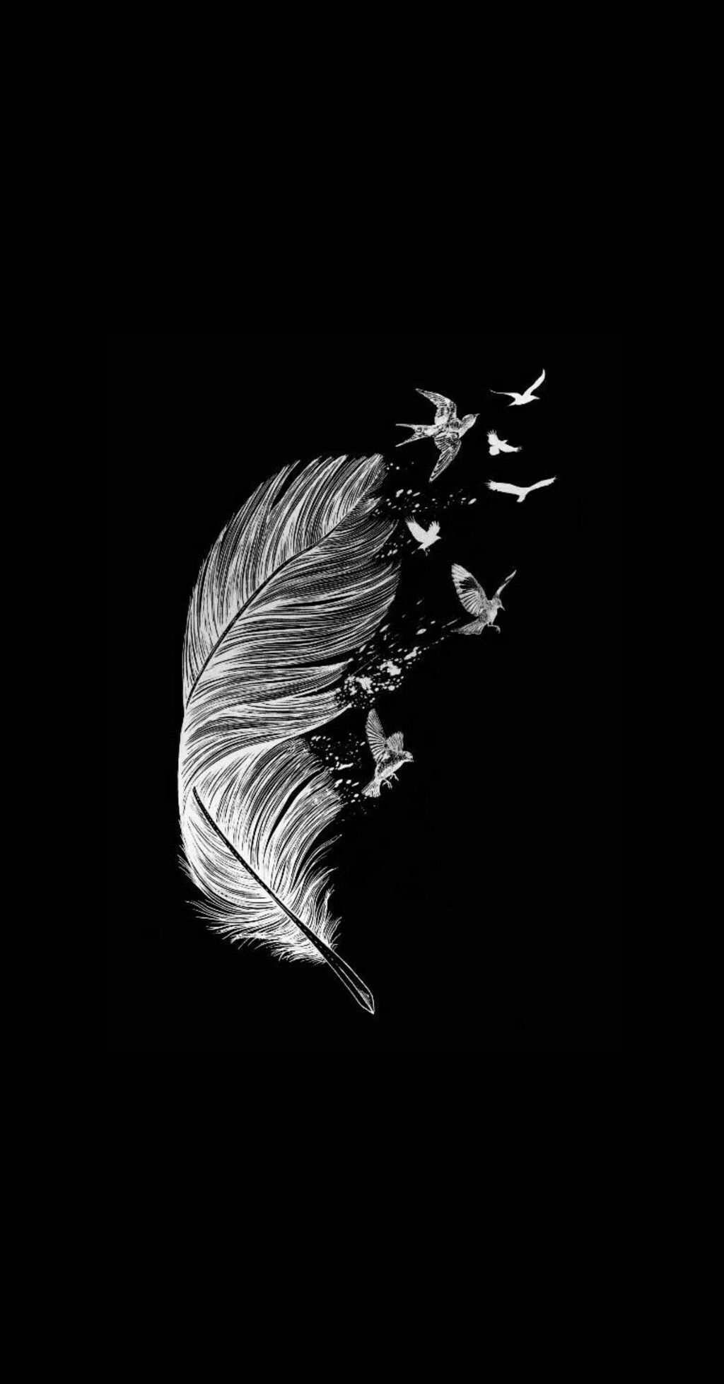 siyah beyaz wallpaper,feather,black,black and white,darkness,wing