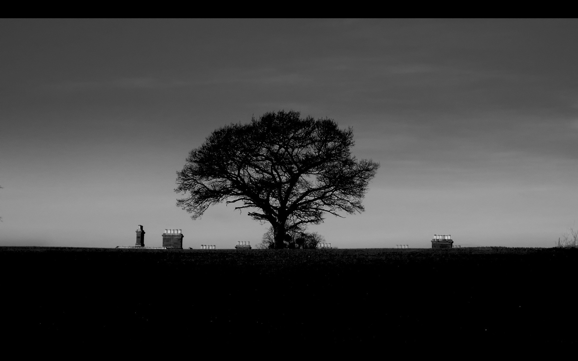 black and white desktop wallpaper,sky,tree,black,white,monochrome photography