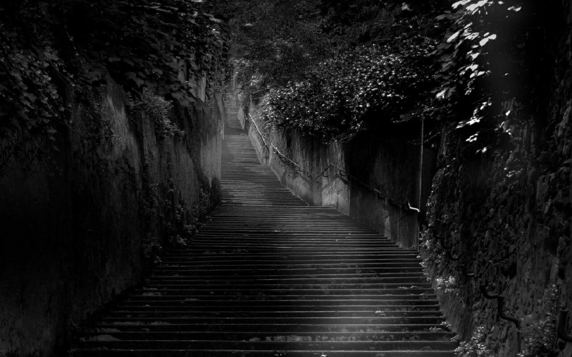 fondo de pantalla de naturaleza negra,negro,naturaleza,en blanco y negro,oscuridad,fotografía monocroma