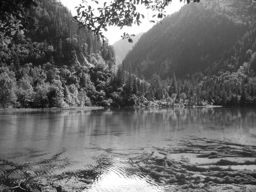fondo de pantalla de naturaleza negra,cuerpo de agua,naturaleza,agua,paisaje natural,blanco