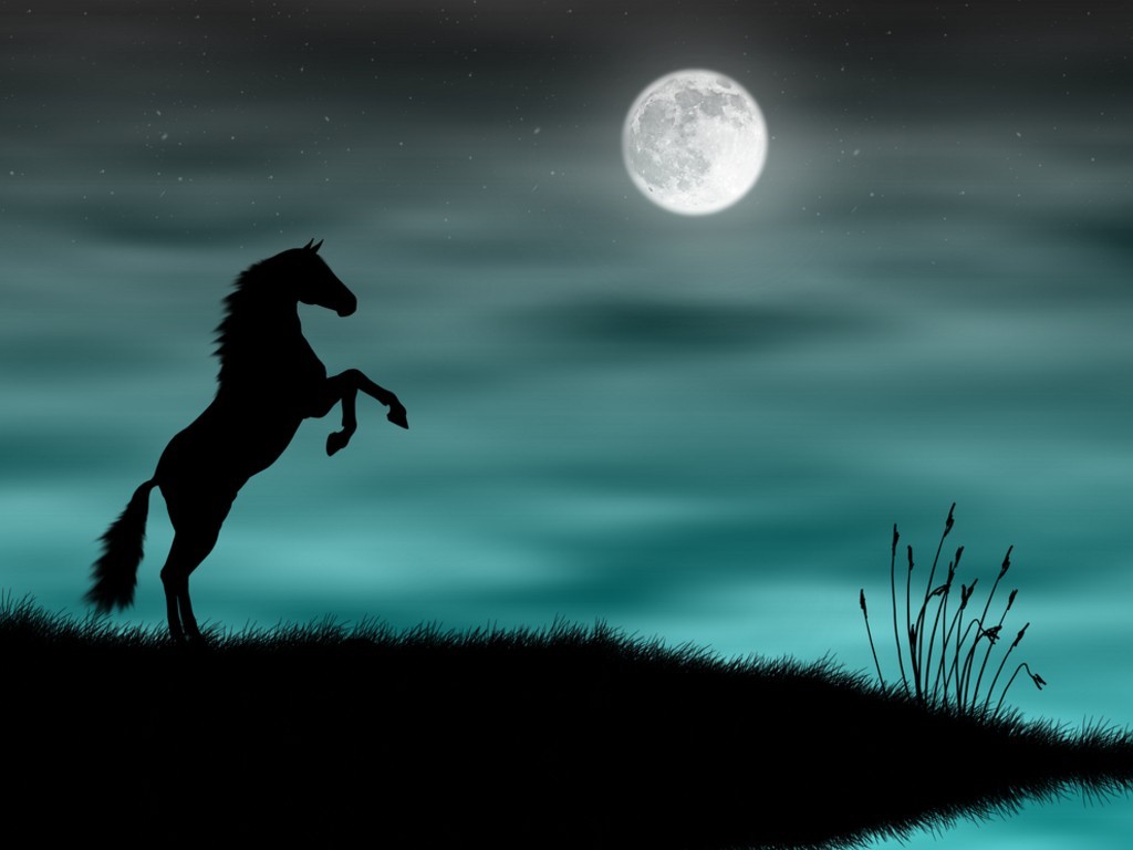 hermoso fondo de pantalla negro,luz de la luna,luna,cielo,caballo,luna llena