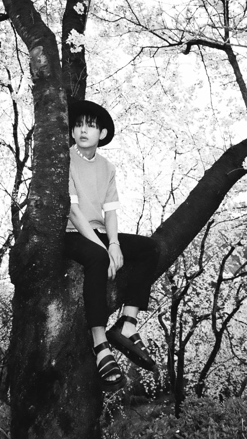 베 야즈,사진,나무,검정색과 흰색,흑백 사진,서 있는