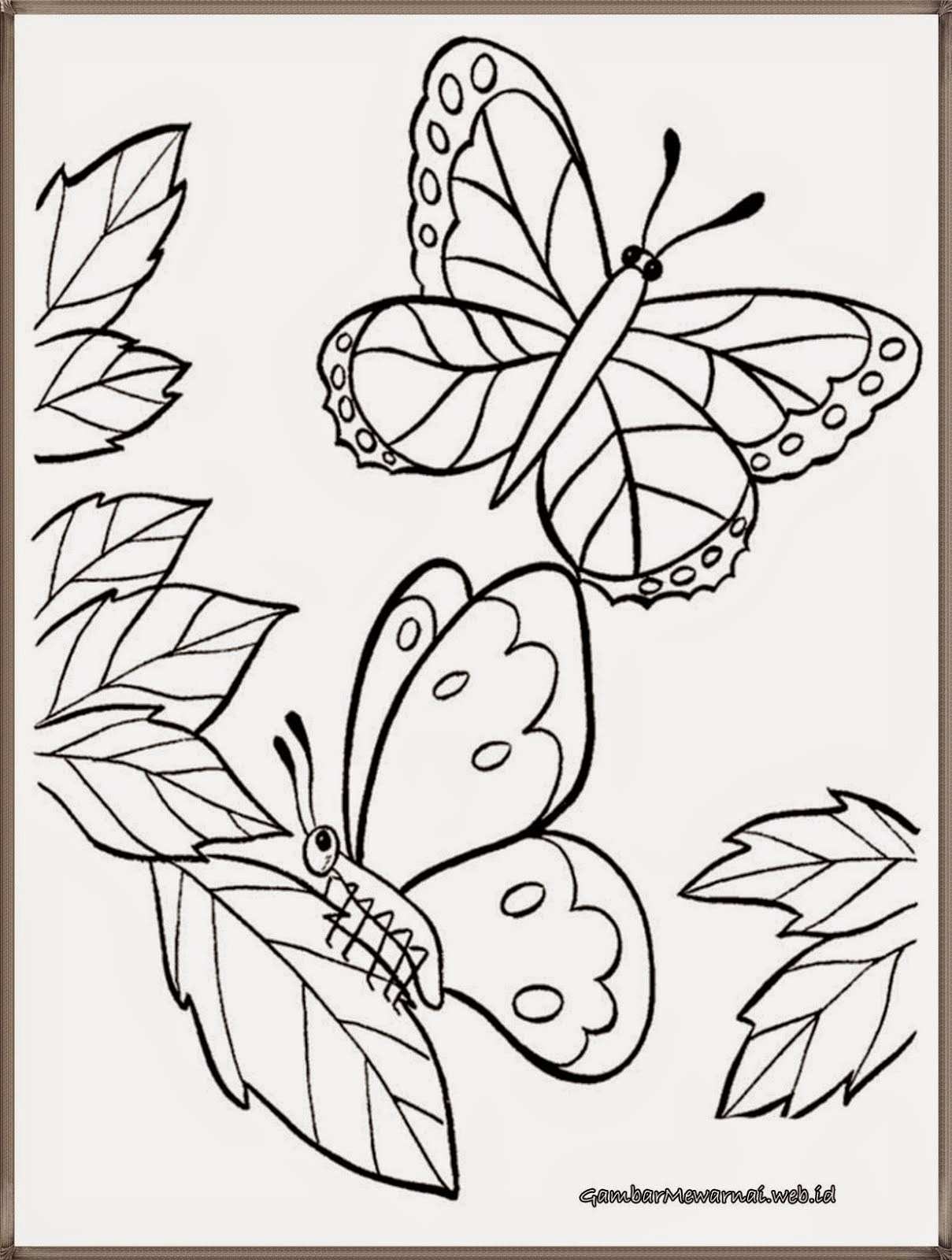 gambar yang bagus buat wallpaper,white,coloring book,line art,butterfly,leaf