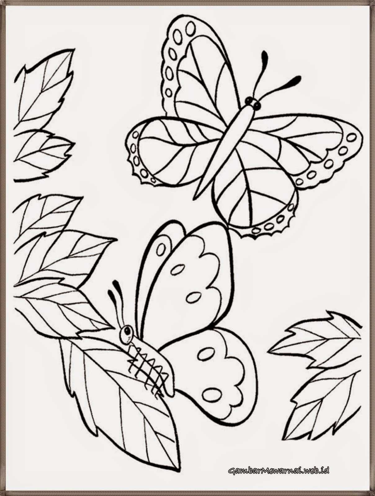 gambar yang bagus buat fond d'écran,blanc,livre de coloriage,dessin au trait,papillon,feuille