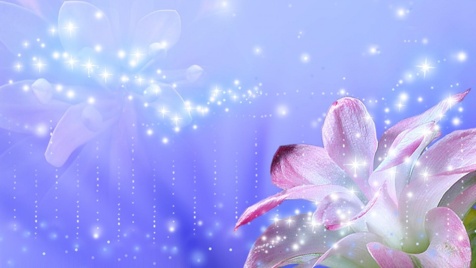 wallpaper bunga hd,blue,sky,petal,pink,lilac