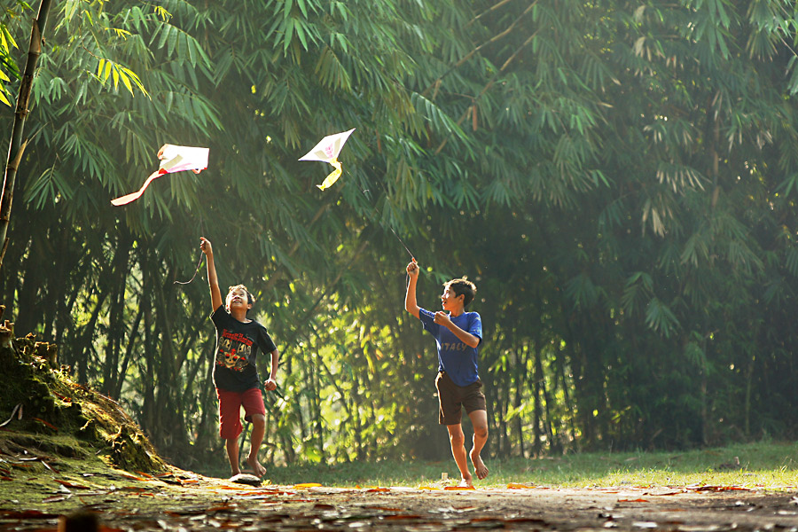 papier peint anak anak,jungle,arbre,forêt,herbe,forêt tropicale