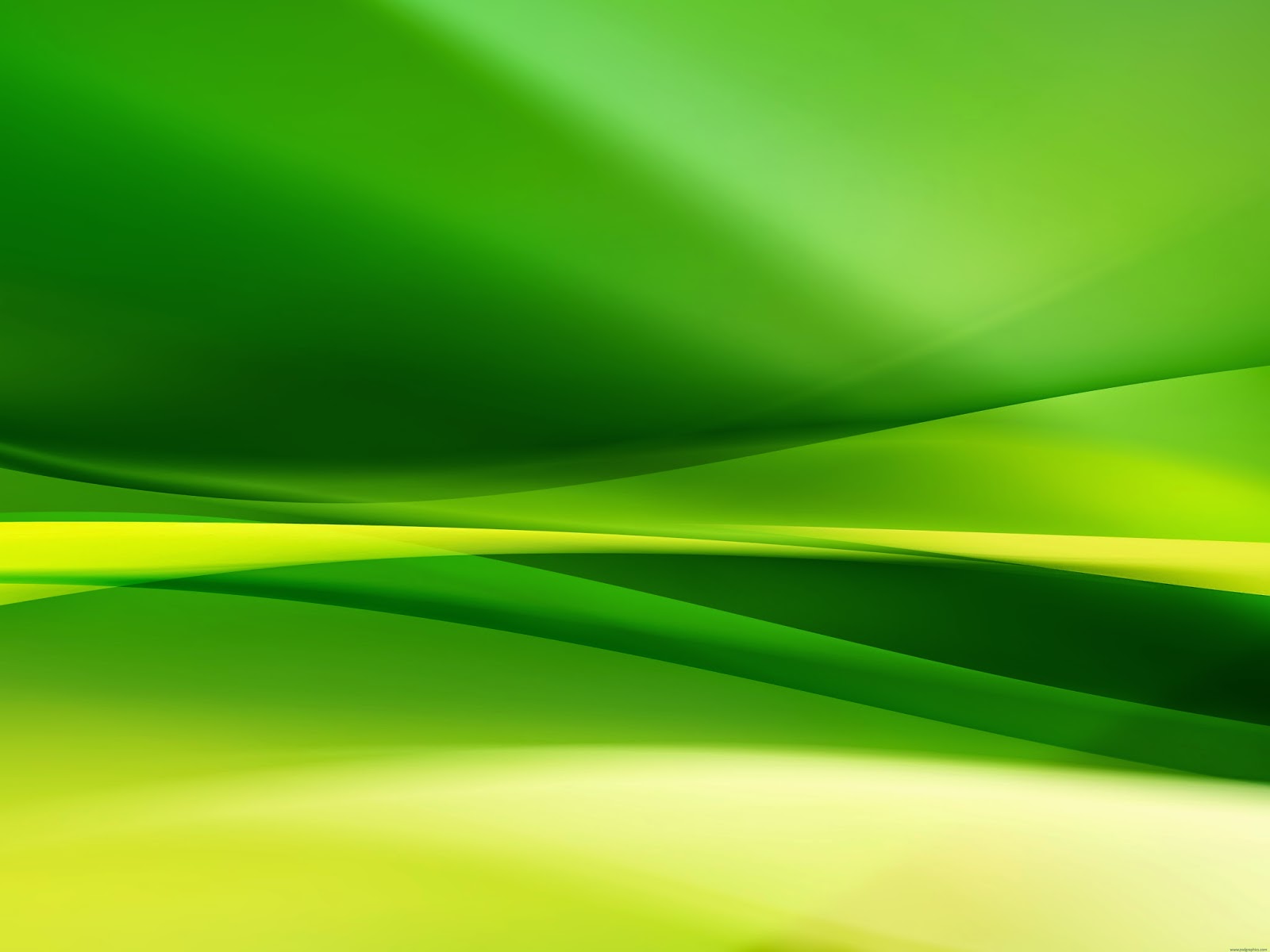 wallpaper gradasi warna,green,yellow,leaf,line,plant (#652059