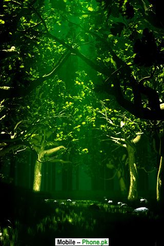 녹색 핸드폰 벽지,초록,자연,나무,숲,밀림