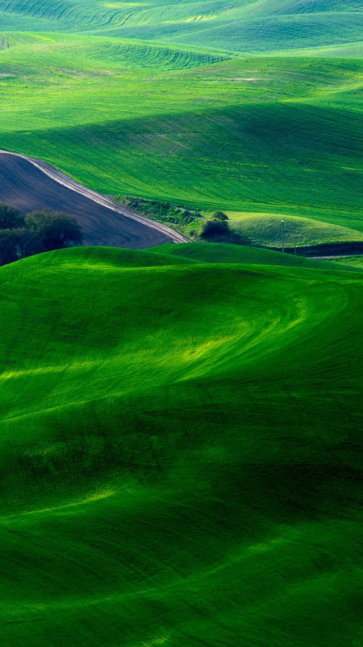 fondo de pantalla móvil verde,verde,pradera,naturaleza,paisaje natural,colina