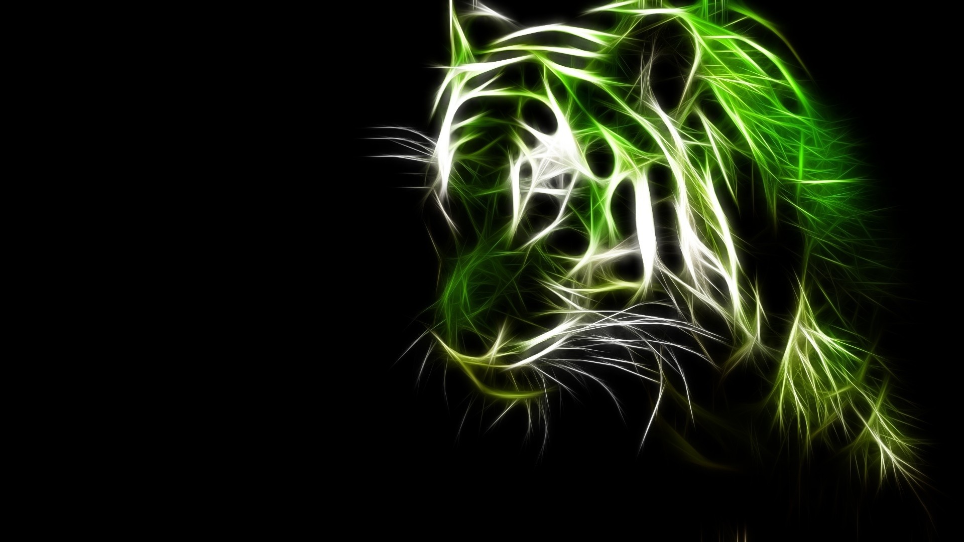 녹색 배경 화면 1920x1080,초록,felidae,구레나룻,그래픽 디자인,야생 동물