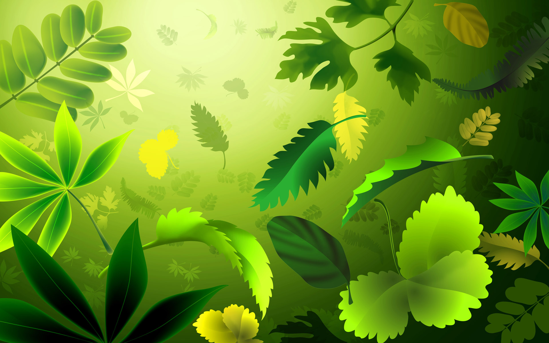 녹색 벽지 다운로드,잎,자연,초록,식물,꽃