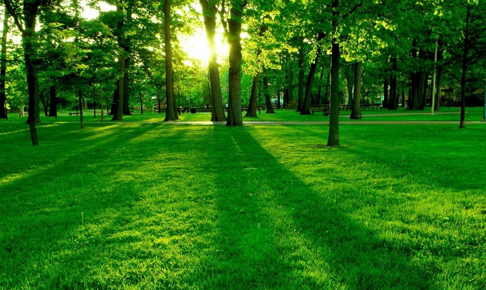 beautiful green wallpaper,green,natural landscape,nature,lawn,grass