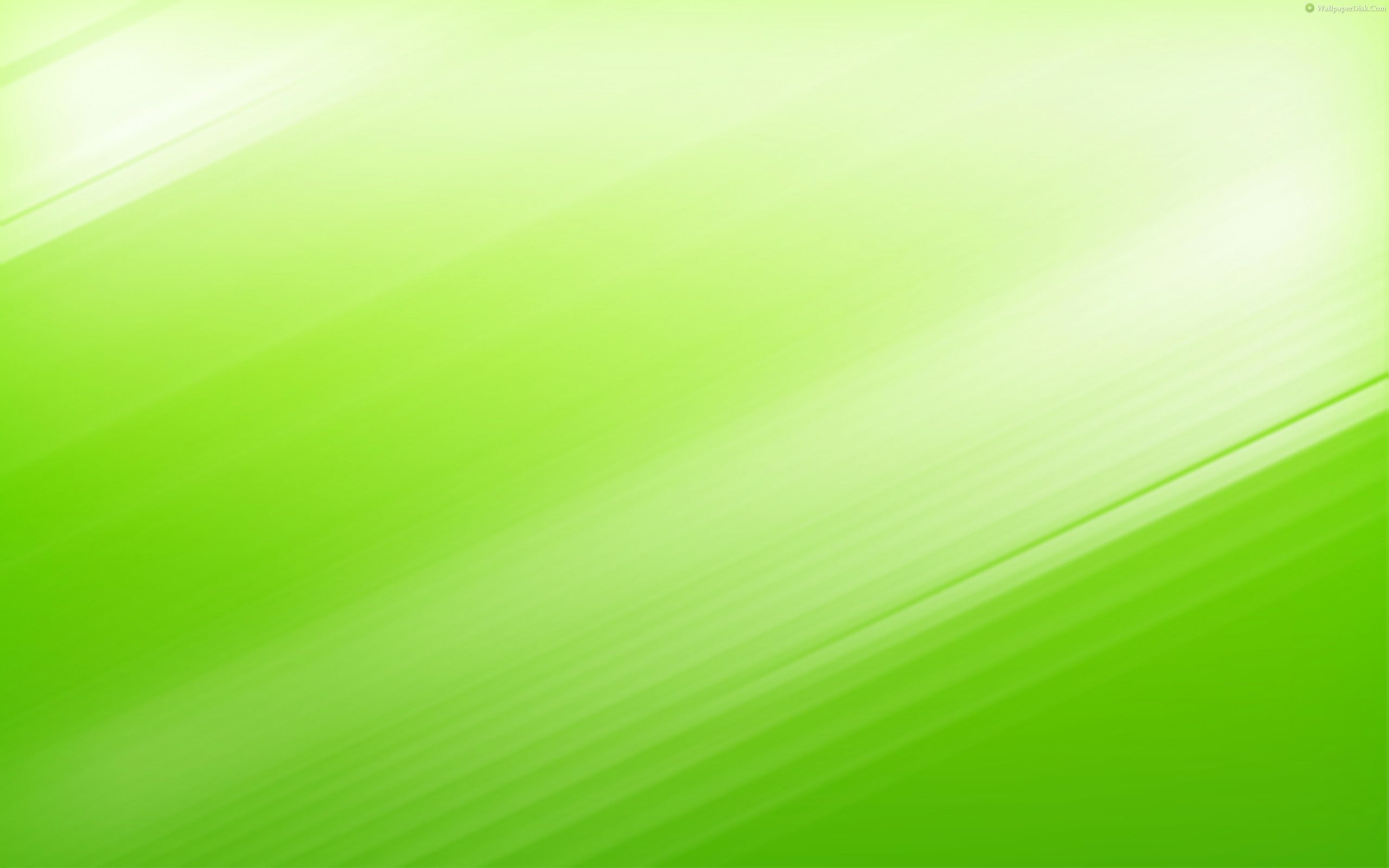 최고의 녹색 벽지,초록,노랑,빛,선,잎
