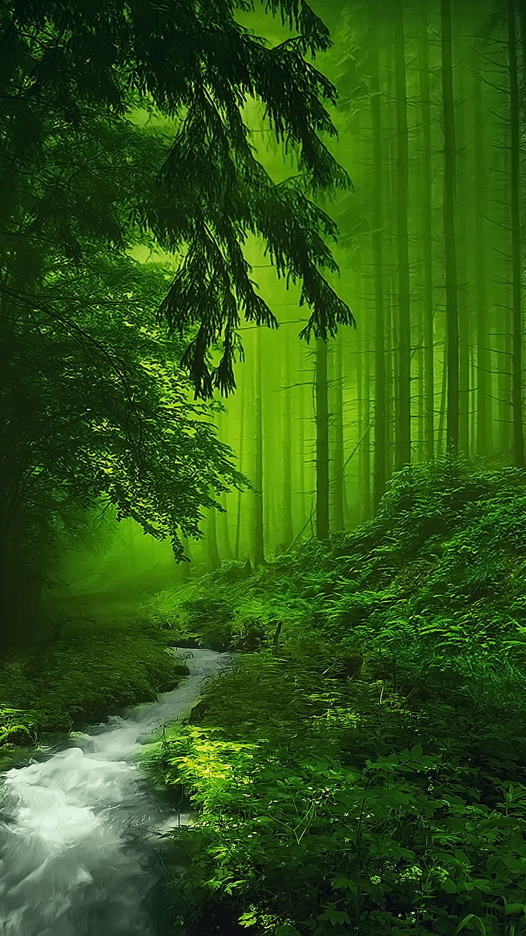 best green wallpaper,natural landscape,nature,green,forest,natural environment