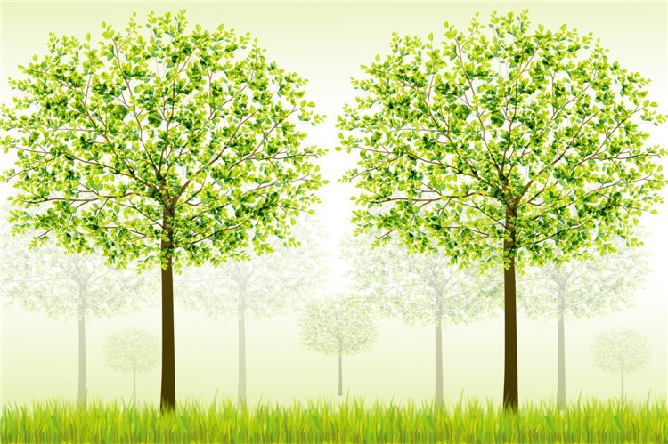 wallpaper pohon,tree,green,plant,natural landscape,grass