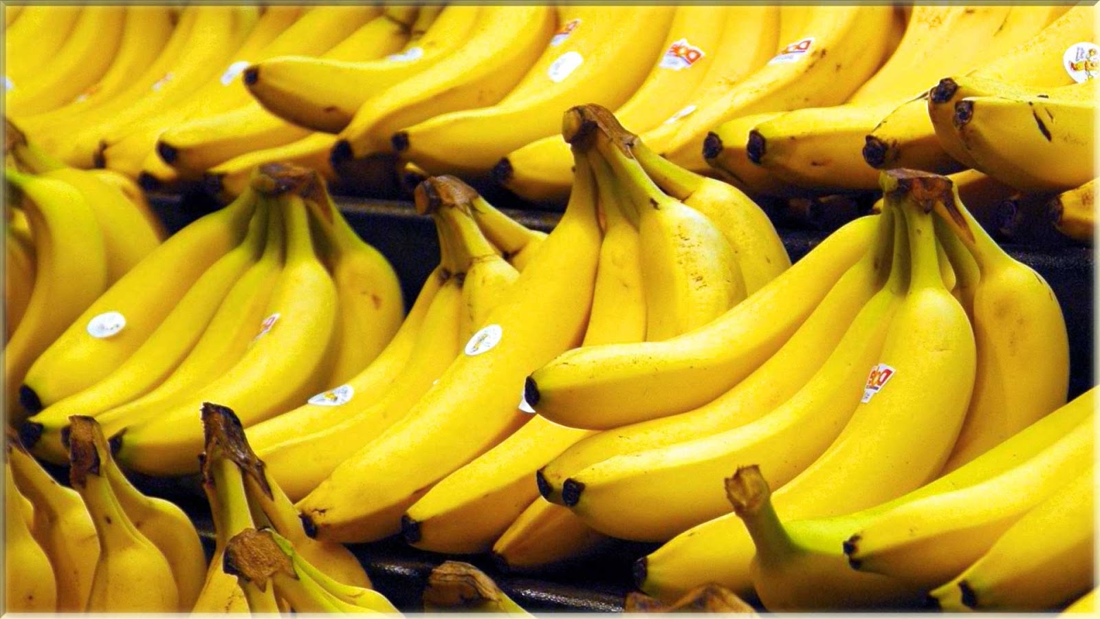 wallpaper buah,natural foods,banana family,banana,yellow,saba banana