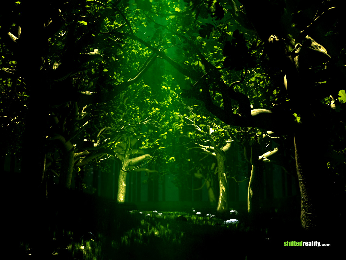 papier peint vert foncé,vert,la nature,forêt,arbre,lumière